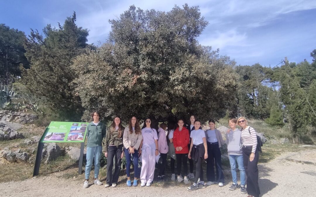 STEAMFemme projekt: Biljni svijet i izazovi očuvanja Dioklecijanove palače