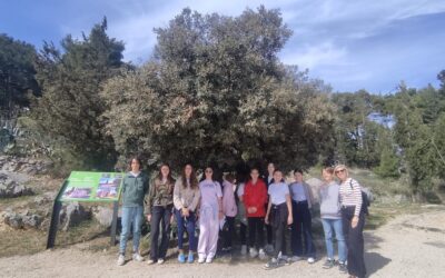 STEAMFemme projekt: Biljni svijet i izazovi očuvanja Dioklecijanove palače