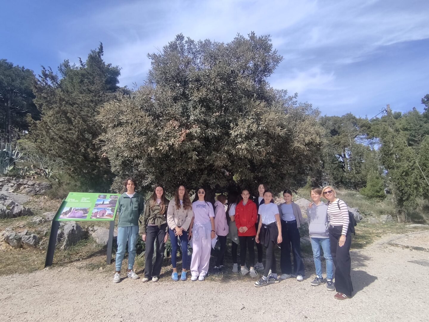 WhatsApp Image 2026-04-11 at 19.26.05 (3)