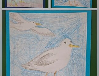 Projekt Volim more, kamen i Dalmaciju